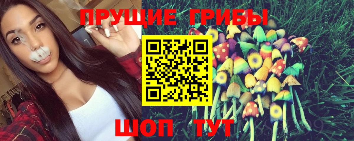 Псилоцибиновые грибы Psilocybe  Вход с VPN  Феодосия 